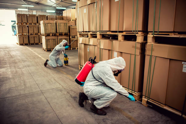 Best Exterminator Services  in Wickliffe, OH