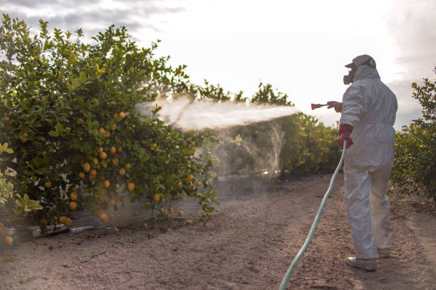 Best Pest Prevention Services  in Wickliffe, OH