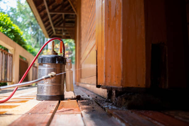 Best Pest Removal Services  in Wickliffe, OH