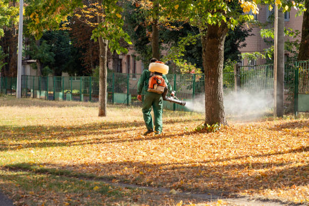 Best Bed Bug Extermination  in Wickliffe, OH
