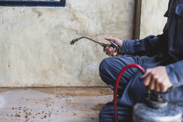 Best Pest Control Near Me in Wickliffe, OH