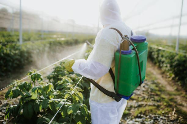 Trusted Wickliffe, OH Pest Control Experts
